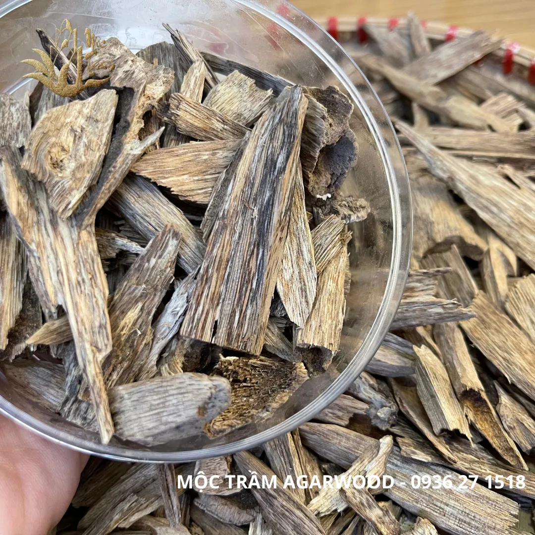 High-Oil Agarwood Chips – “Kien Toc” Vietnamese Wild Oud (Limited Collection | Multi-Weight Options)